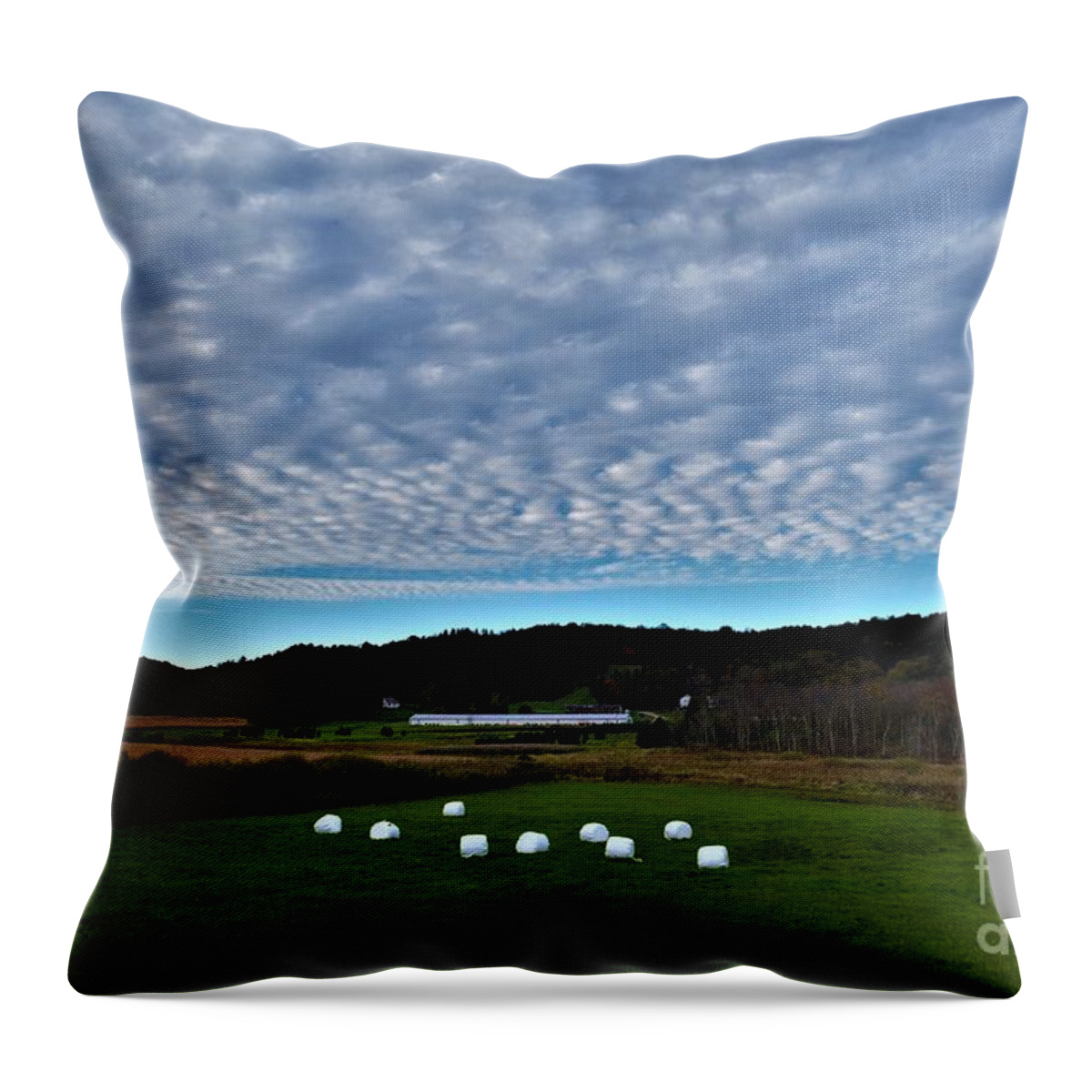 Autumn Throw Pillow featuring the photograph Marshmallow Field by Dani McEvoy