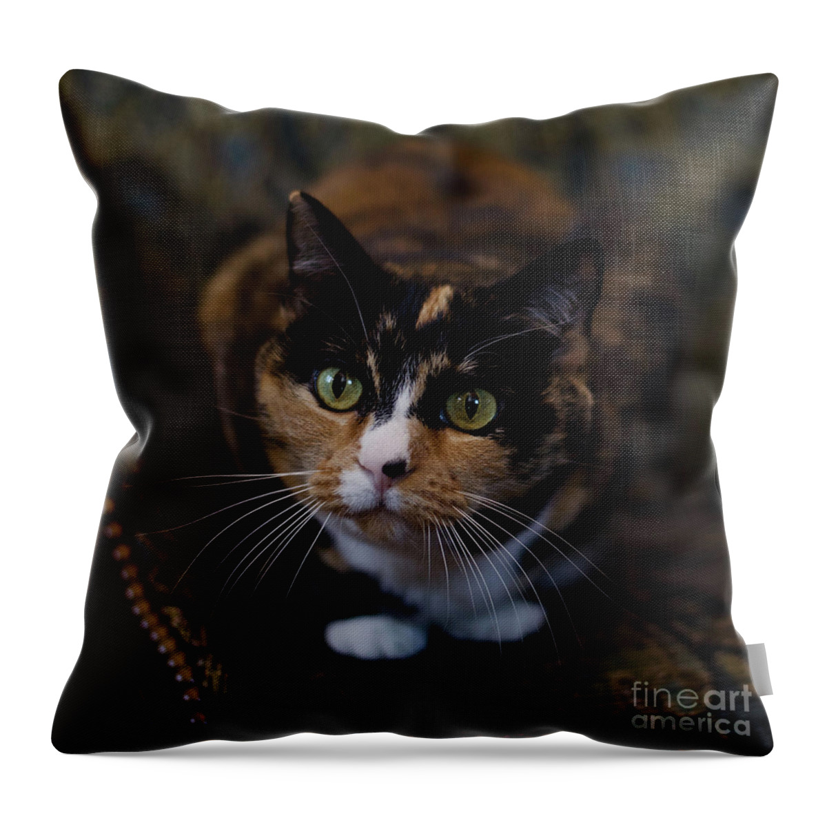 Calico Cat Throw Pillow featuring the photograph Mischa by Irina ArchAngelSkaya