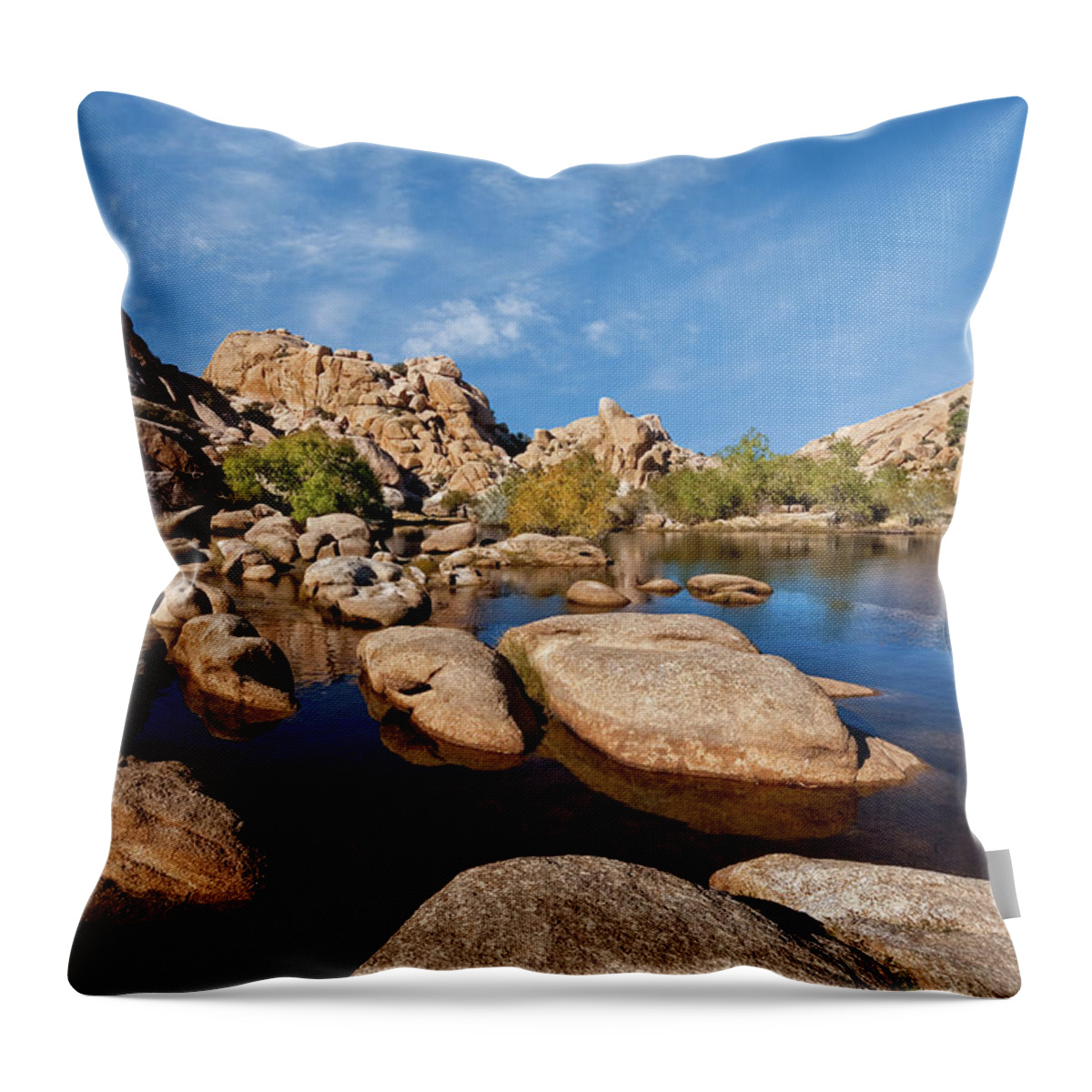 Arid Climate Throw Pillow featuring the photograph Mojave Desert Oasis by Jeff Goulden