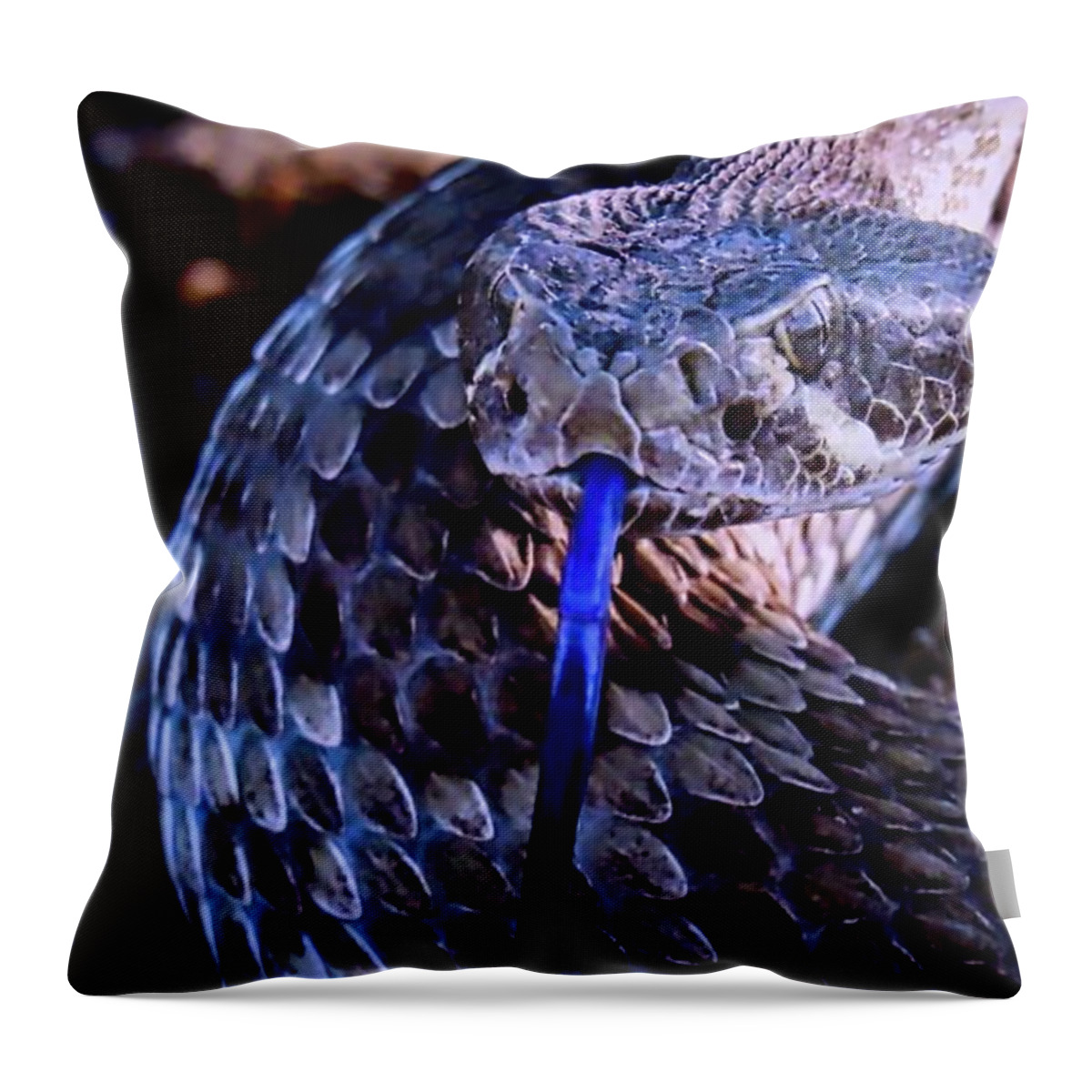 Affordable Throw Pillow featuring the photograph Mojave by Judy Kennedy