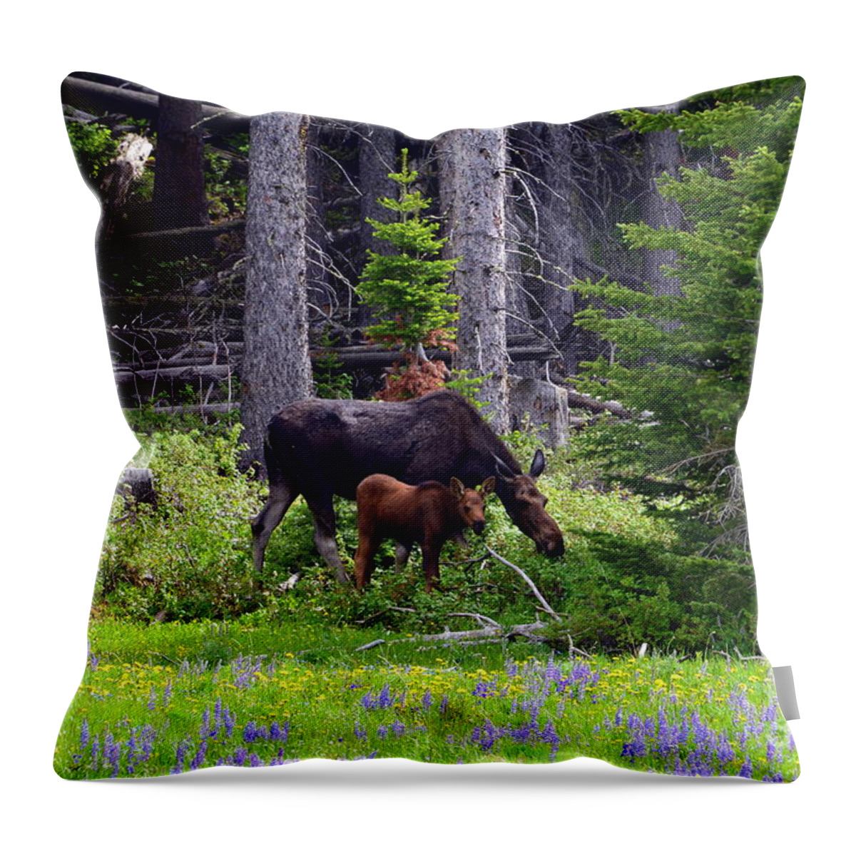 Moose Throw Pillow featuring the photograph Mom and Baby by Dorrene BrownButterfield