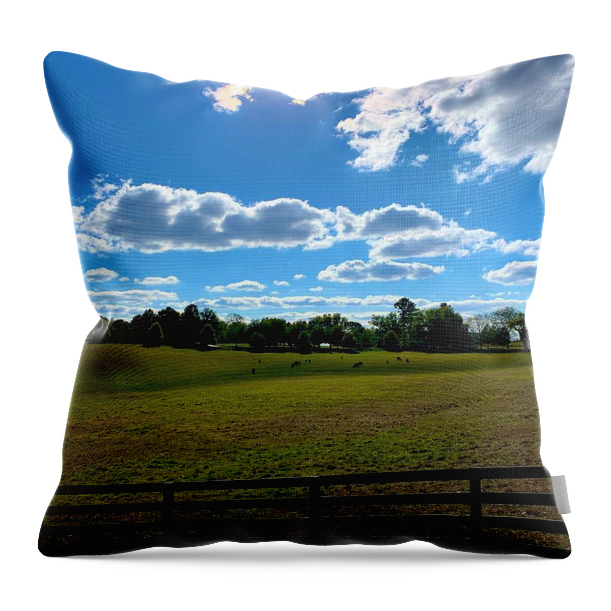 Pasture Throw Pillow featuring the photograph Monkton Pastures by Chris Montcalmo