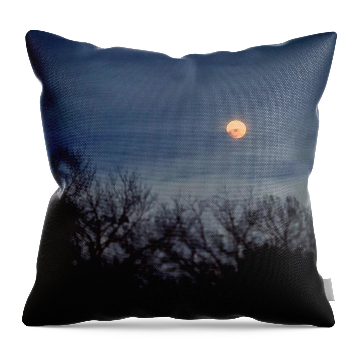Daniel Throw Pillow featuring the painting Moonrise and Trees by Daniel Nelson