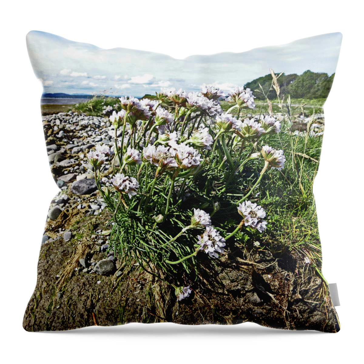 Morecambe Throw Pillow featuring the photograph MORECAMBE. Hest Bank. Sea Thrift. by Lachlan Main