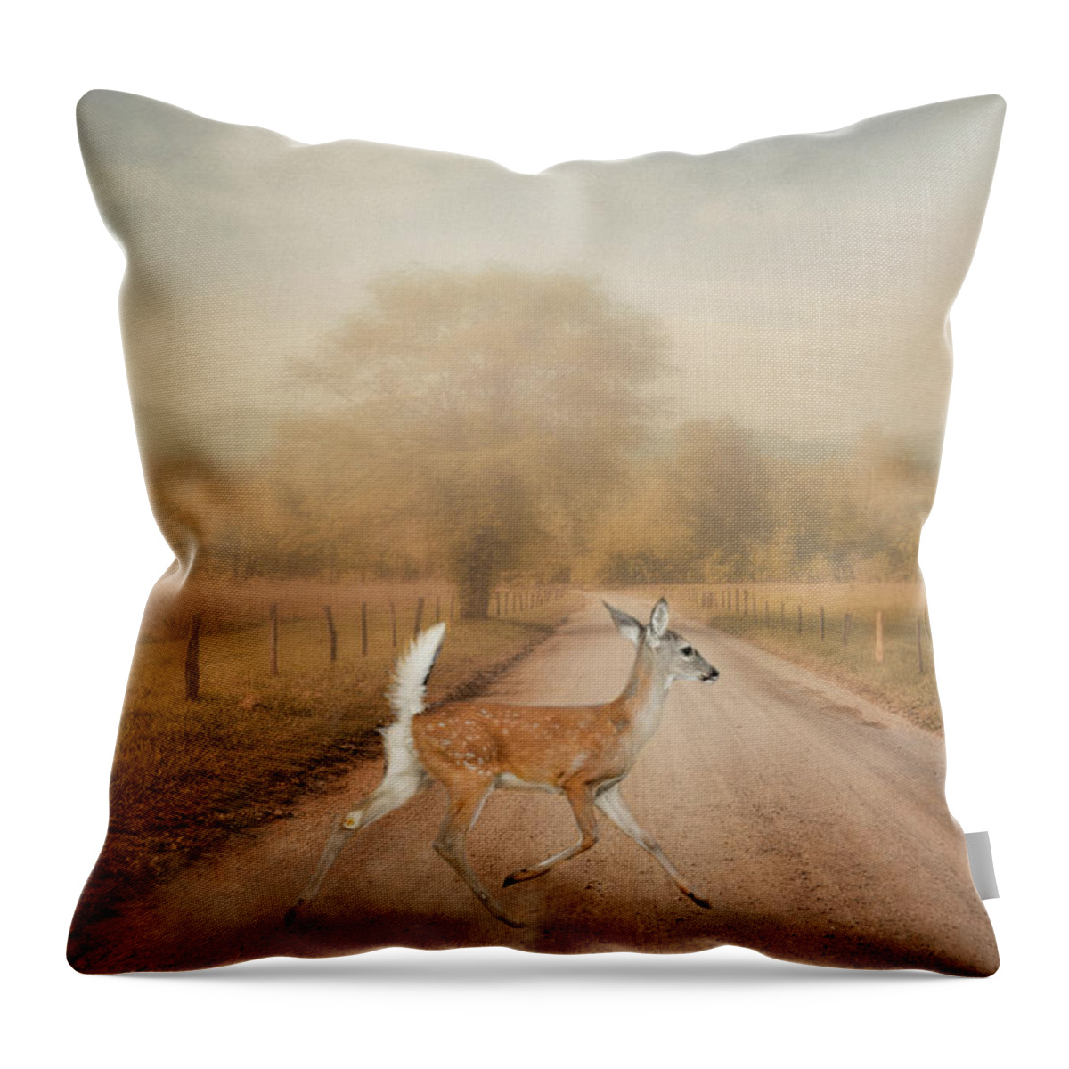 Deer Throw Pillow featuring the photograph Morning Crossing by Jai Johnson