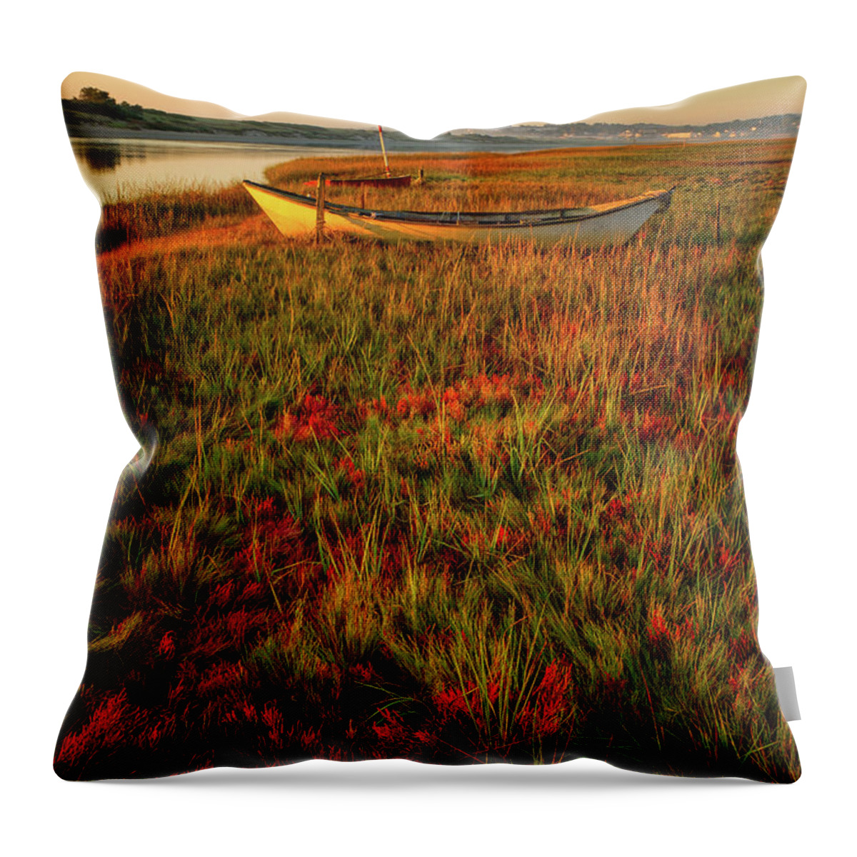 Footbridge Beach Throw Pillow featuring the photograph Morning Dory by Jeff Sinon