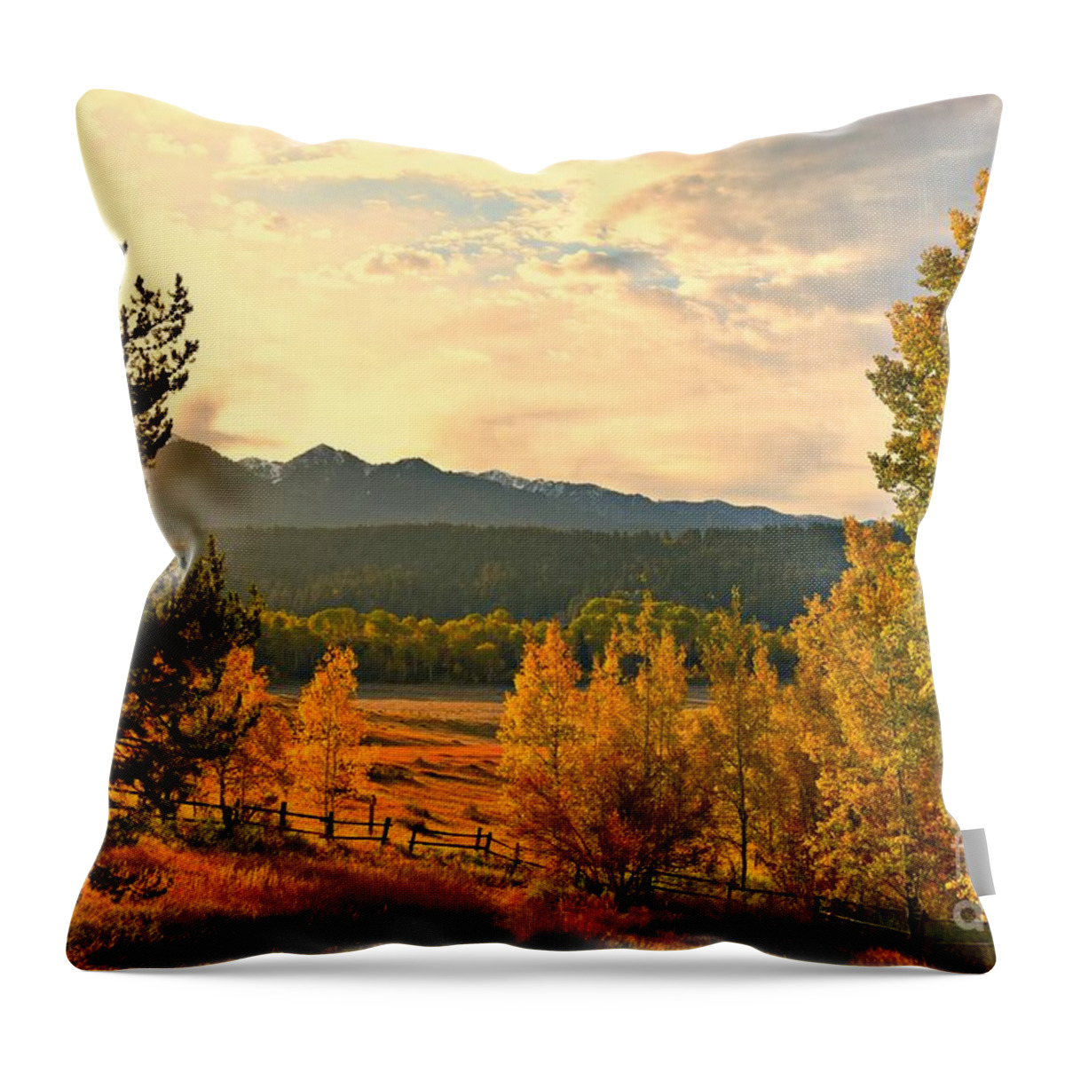 Fall Colors Throw Pillow featuring the photograph Morning Light by Dorrene BrownButterfield