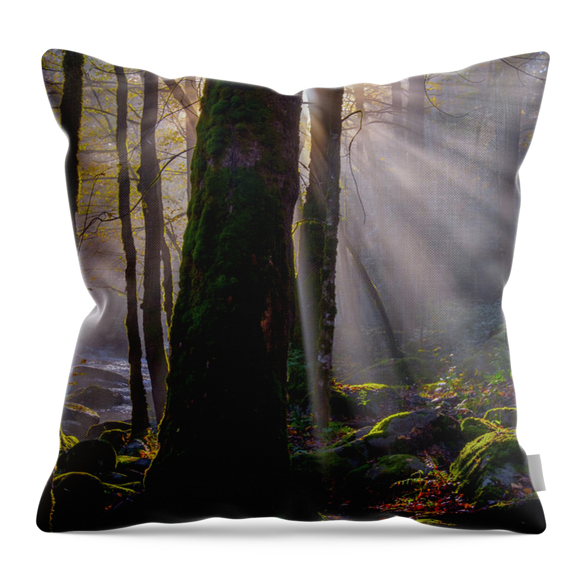 Fall Colors And Waterfall Throw Pillow featuring the photograph Morning Rays by Johnny Boyd