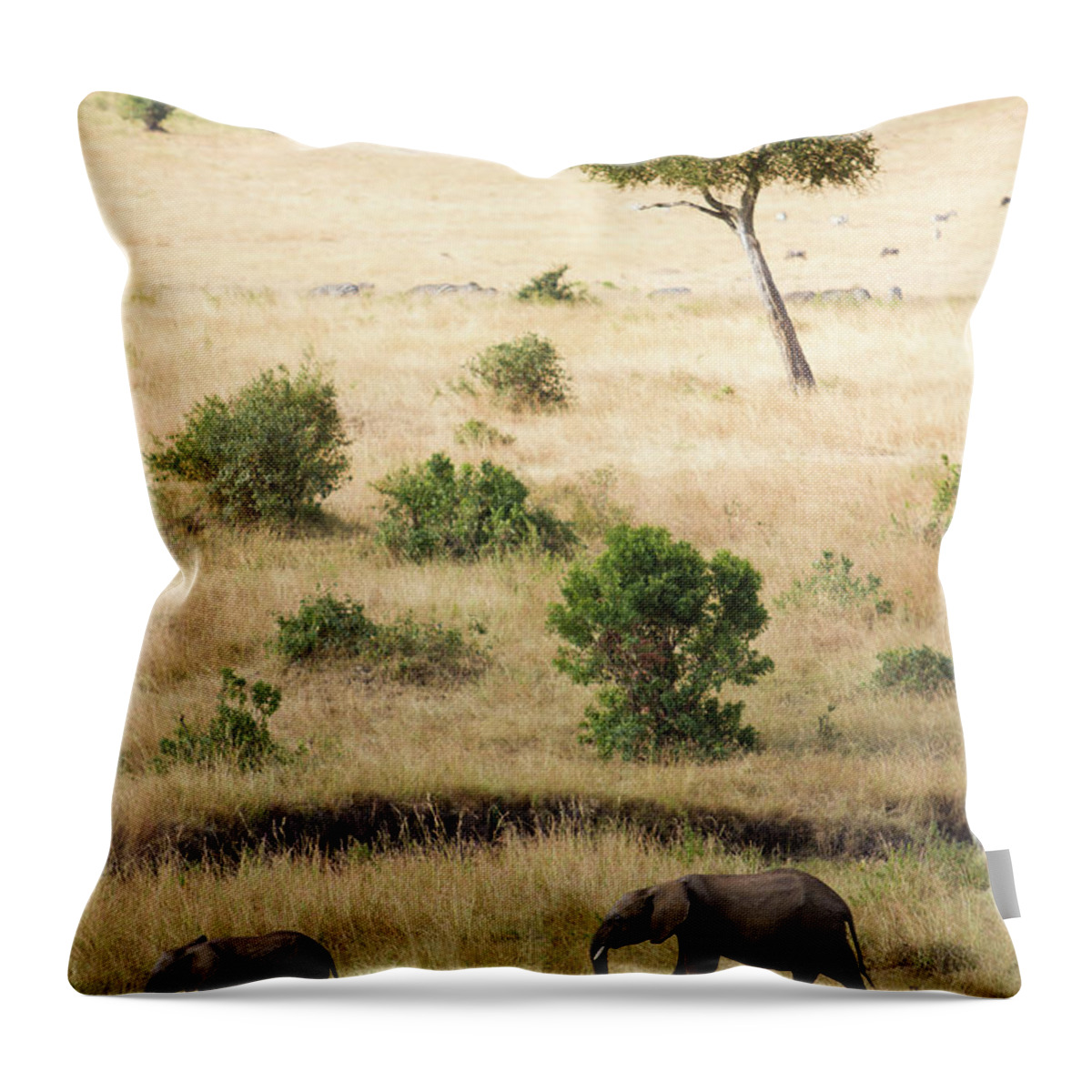 Kenya Throw Pillow featuring the photograph Mother And Baby Elephant In Savanna by Universal Stopping Point Photography