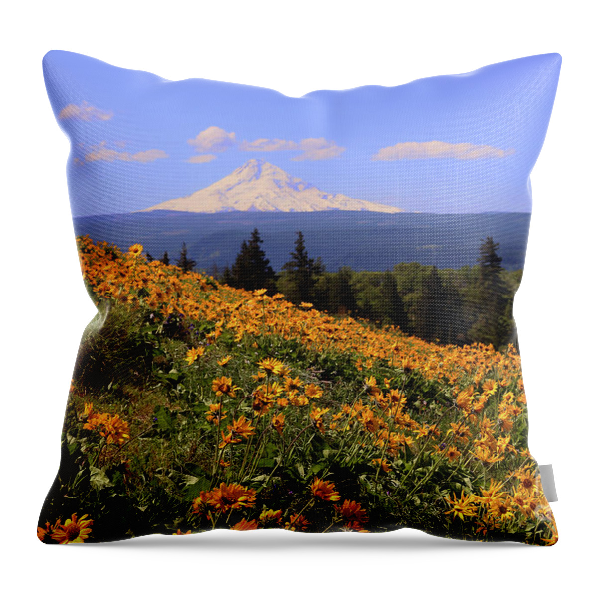 Oak Tree Throw Pillow featuring the photograph Mt. Hood, Rowena Crest by Jeanette French