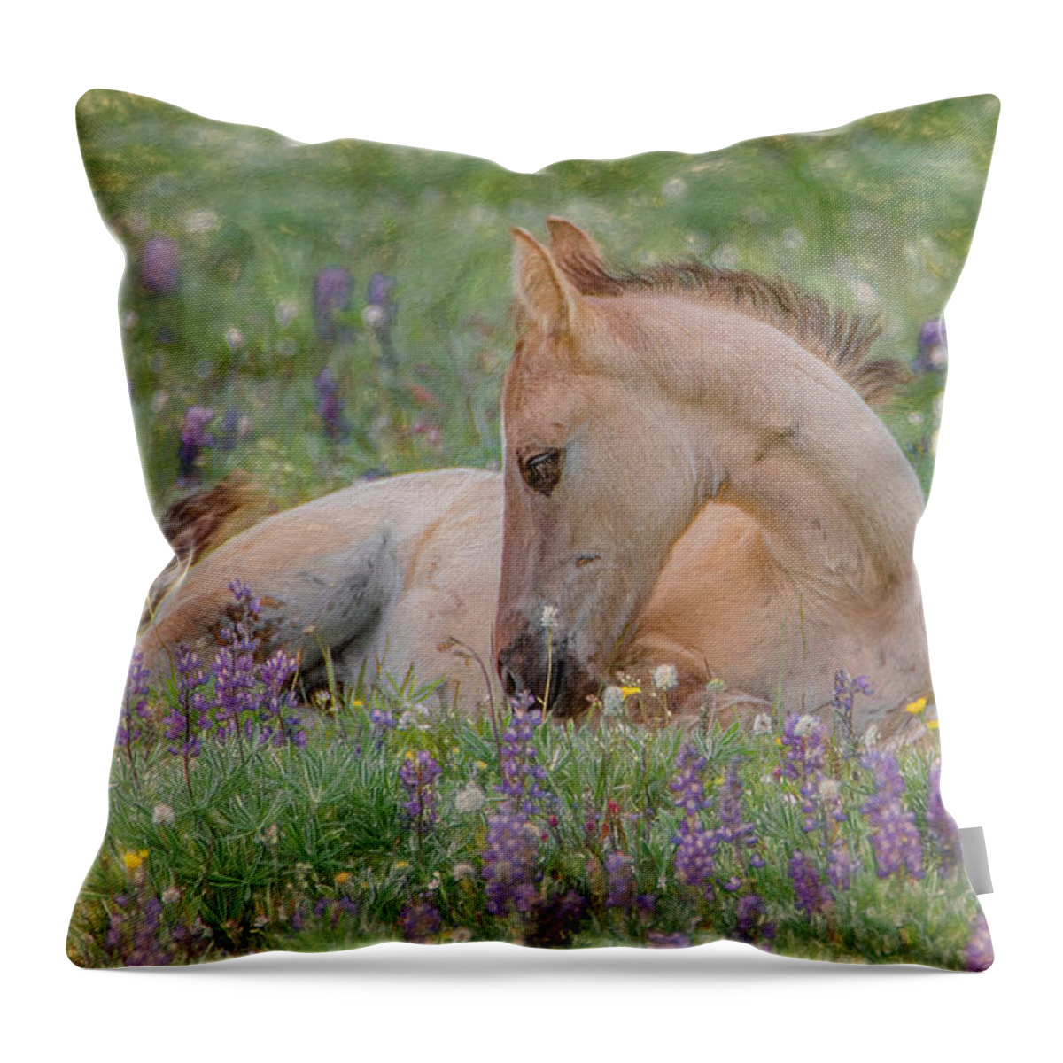 Wild Mustangs Throw Pillow featuring the photograph Wild Mustang Foal in the Wildflowers by Marcy Wielfaert