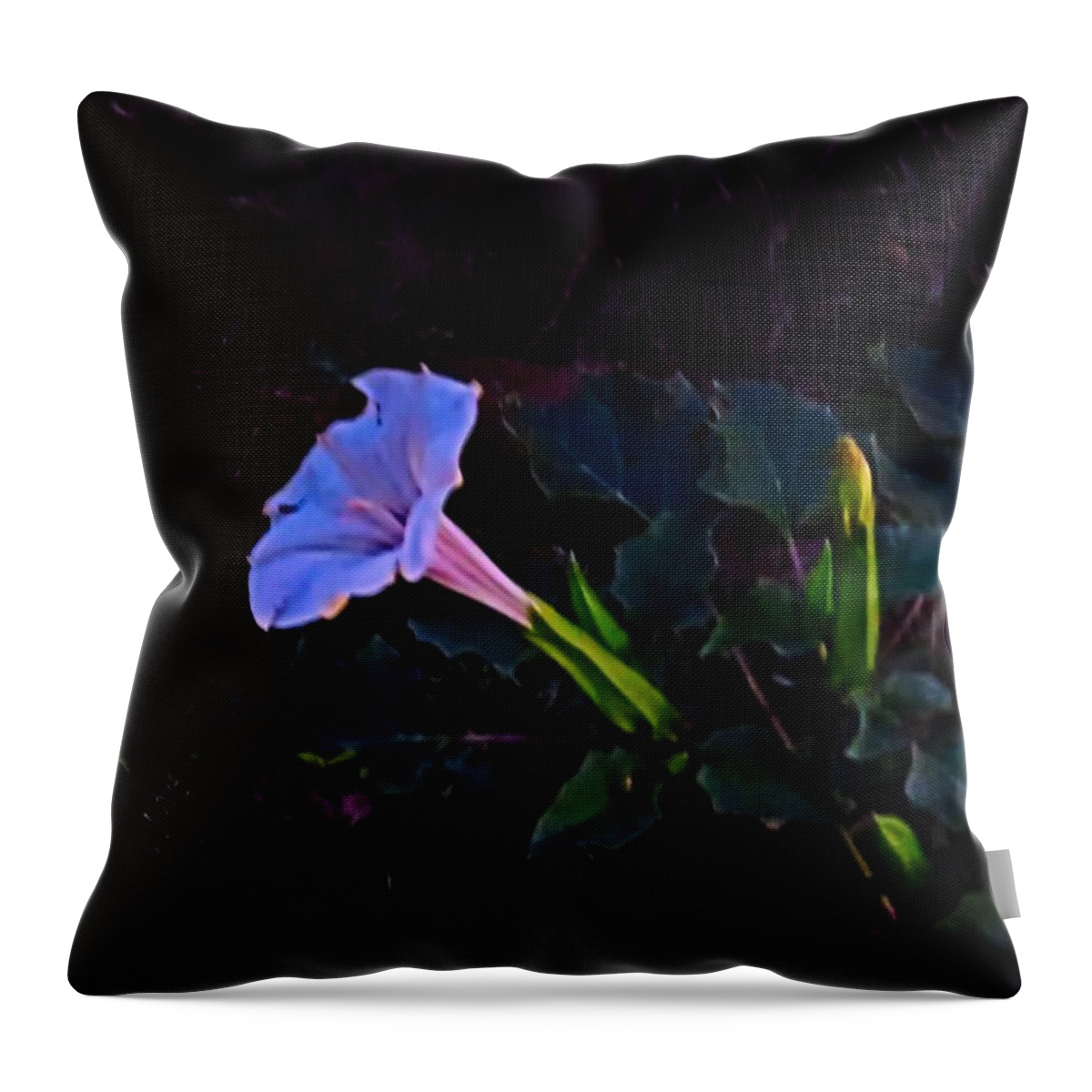 Arizona Throw Pillow featuring the photograph Mysterious Moonflower by Judy Kennedy