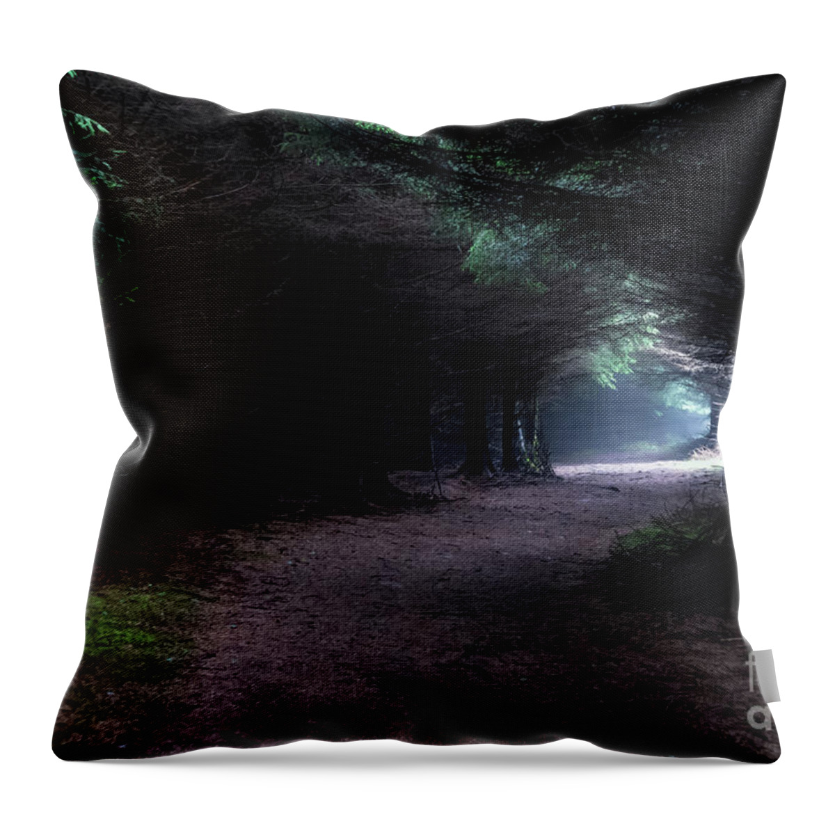 Wood Throw Pillow featuring the photograph Narrow Path Through Foggy Mysterious Forest by Andreas Berthold