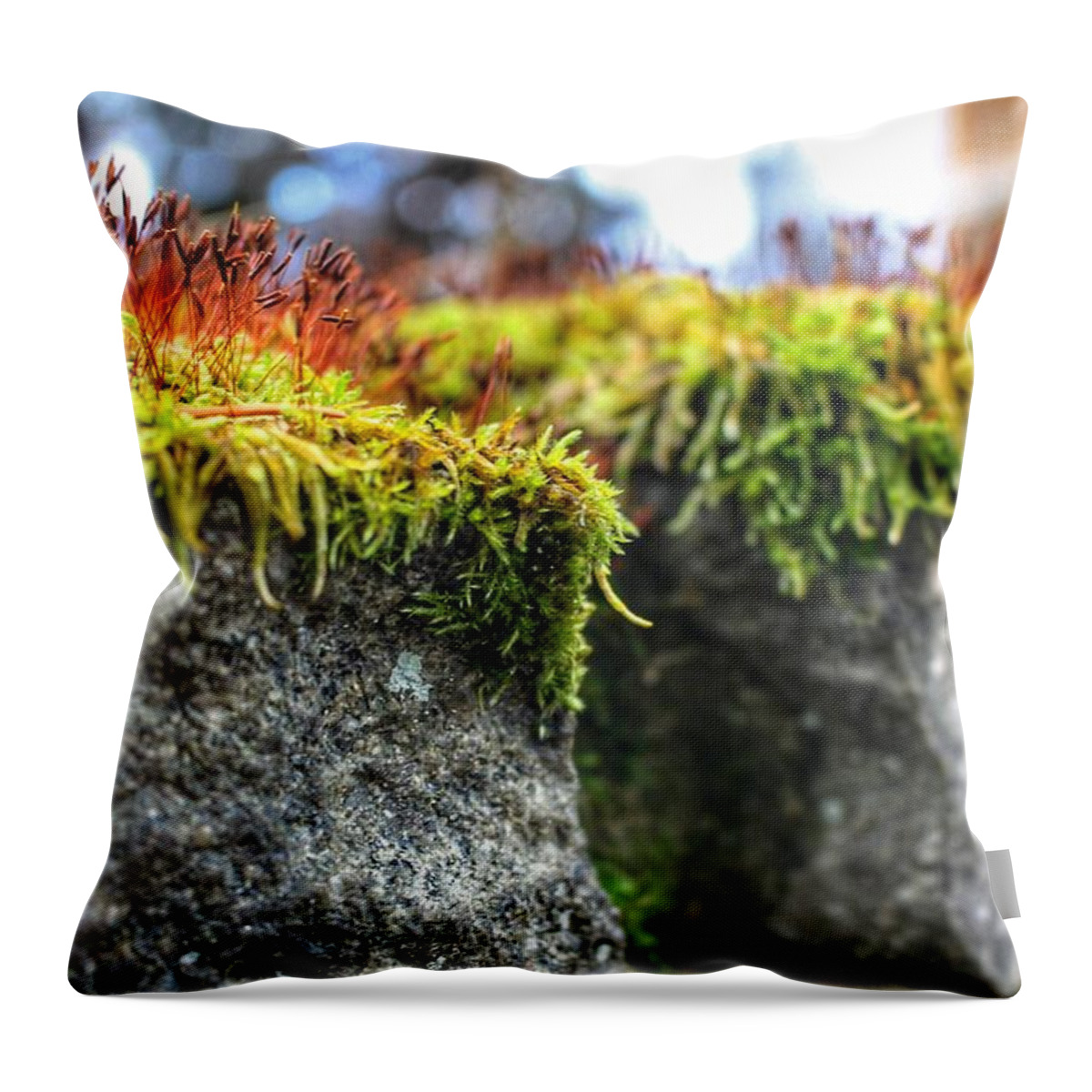 Moss Throw Pillow featuring the photograph Nascent by Christopher Lotito