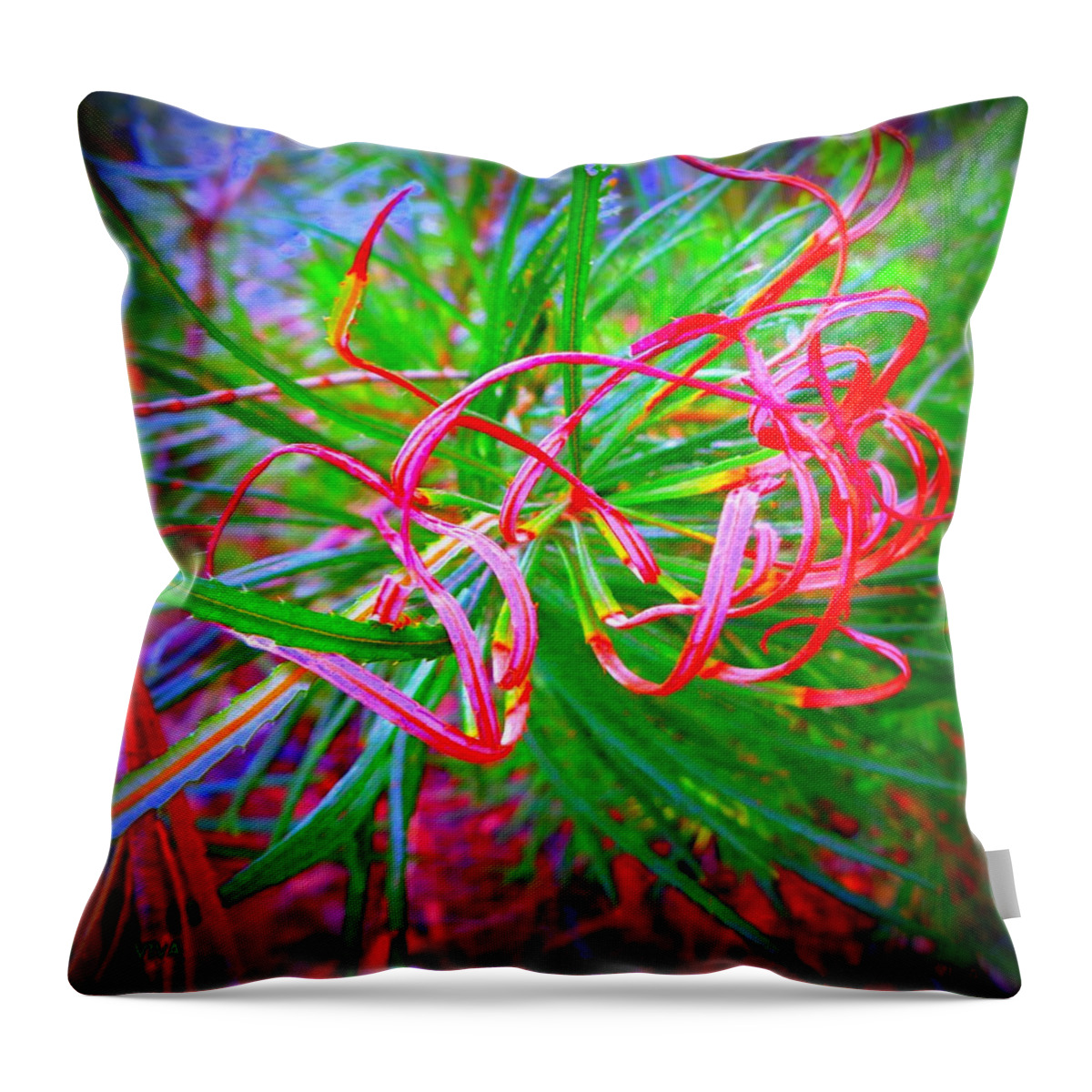Tendril Throw Pillow featuring the photograph Nature's Ribbons by VIVA Anderson