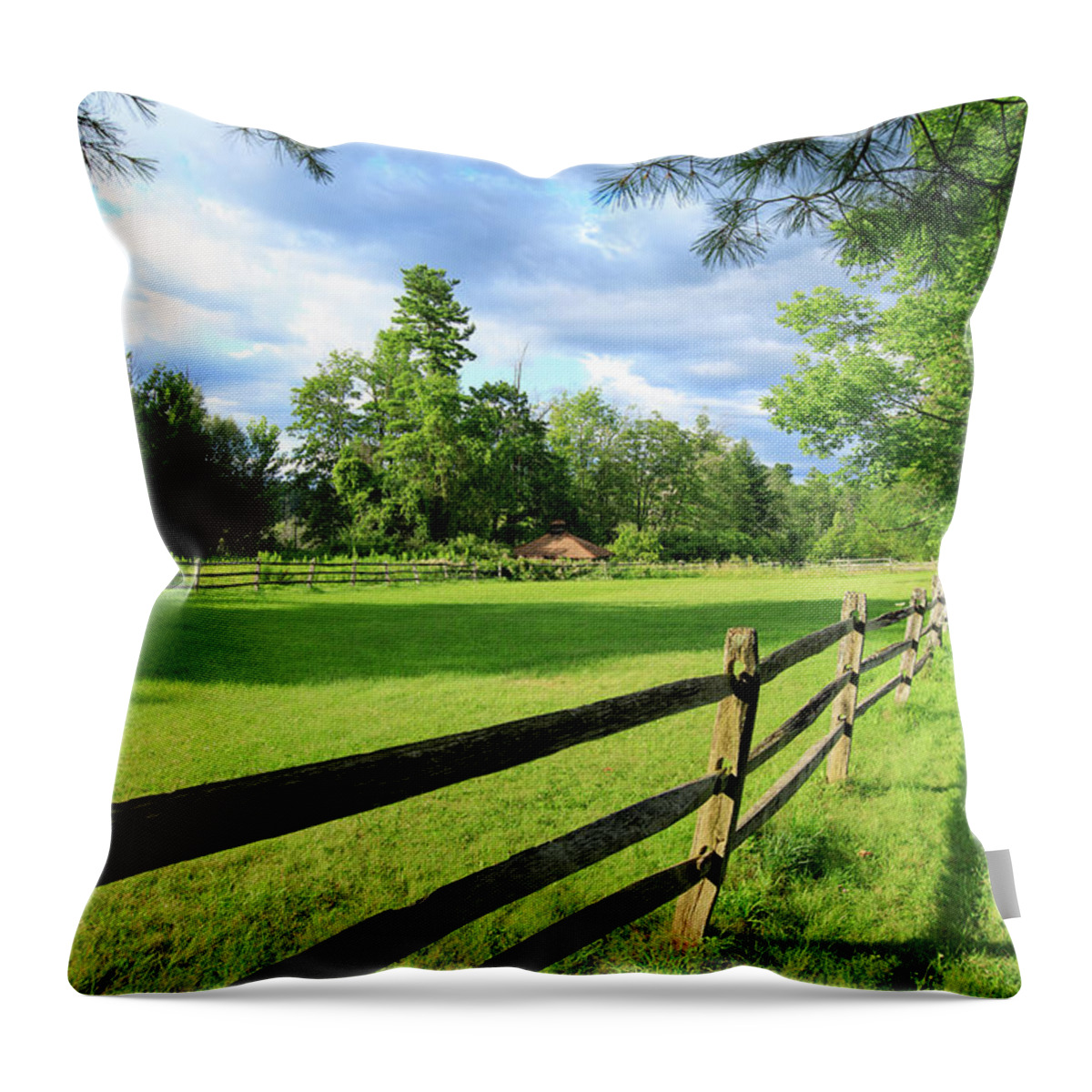 New England Throw Pillow featuring the photograph New England Field #1620 by Michael Fryd