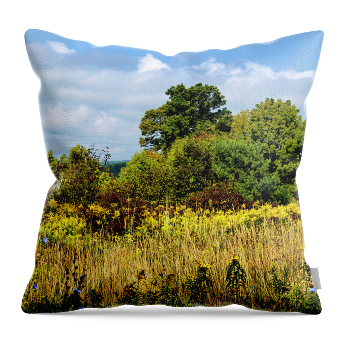 New York Throw Pillow featuring the photograph New York September by Christina Rollo