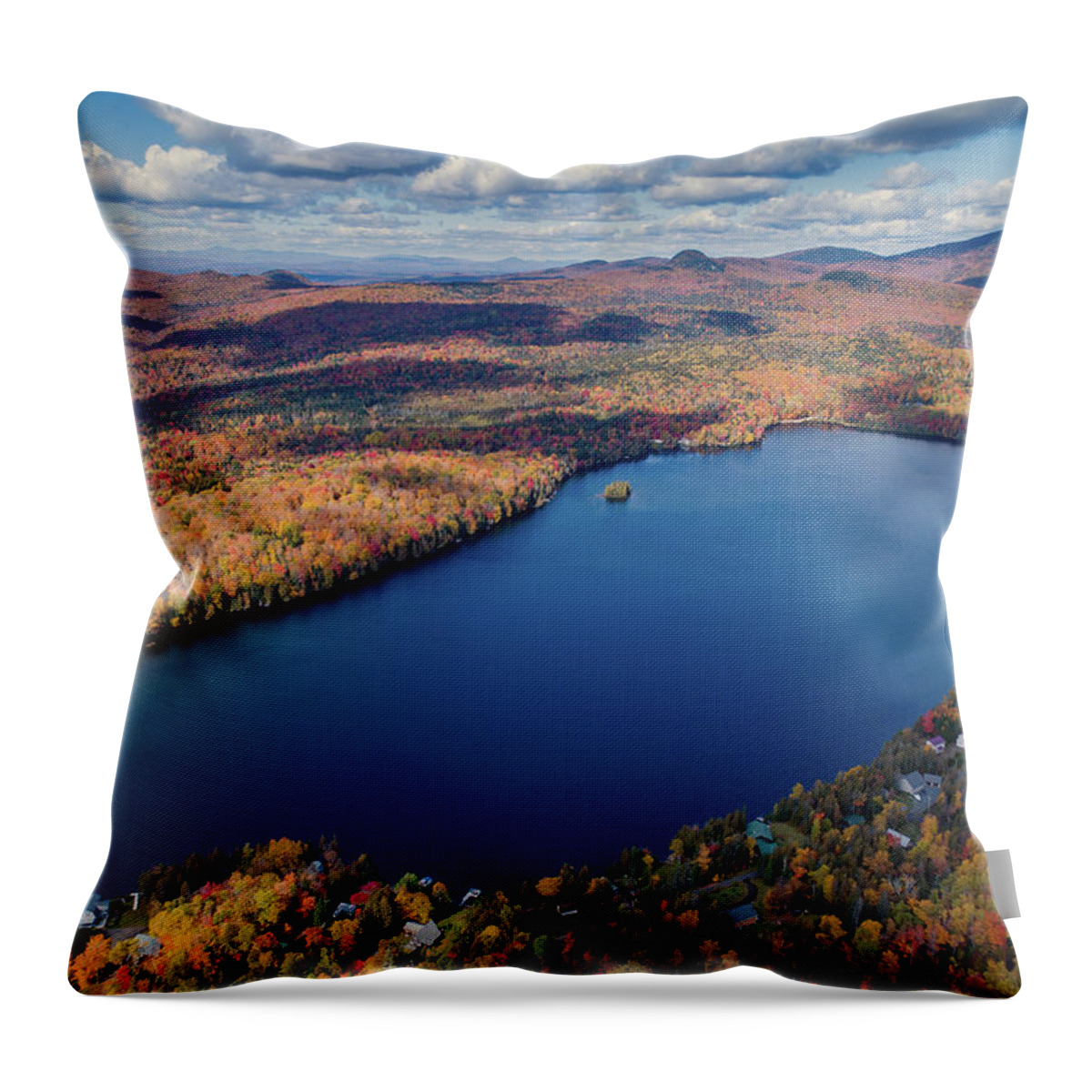 Newark Pond Throw Pillow featuring the pyrography Newark Pond, VT by John Rowe