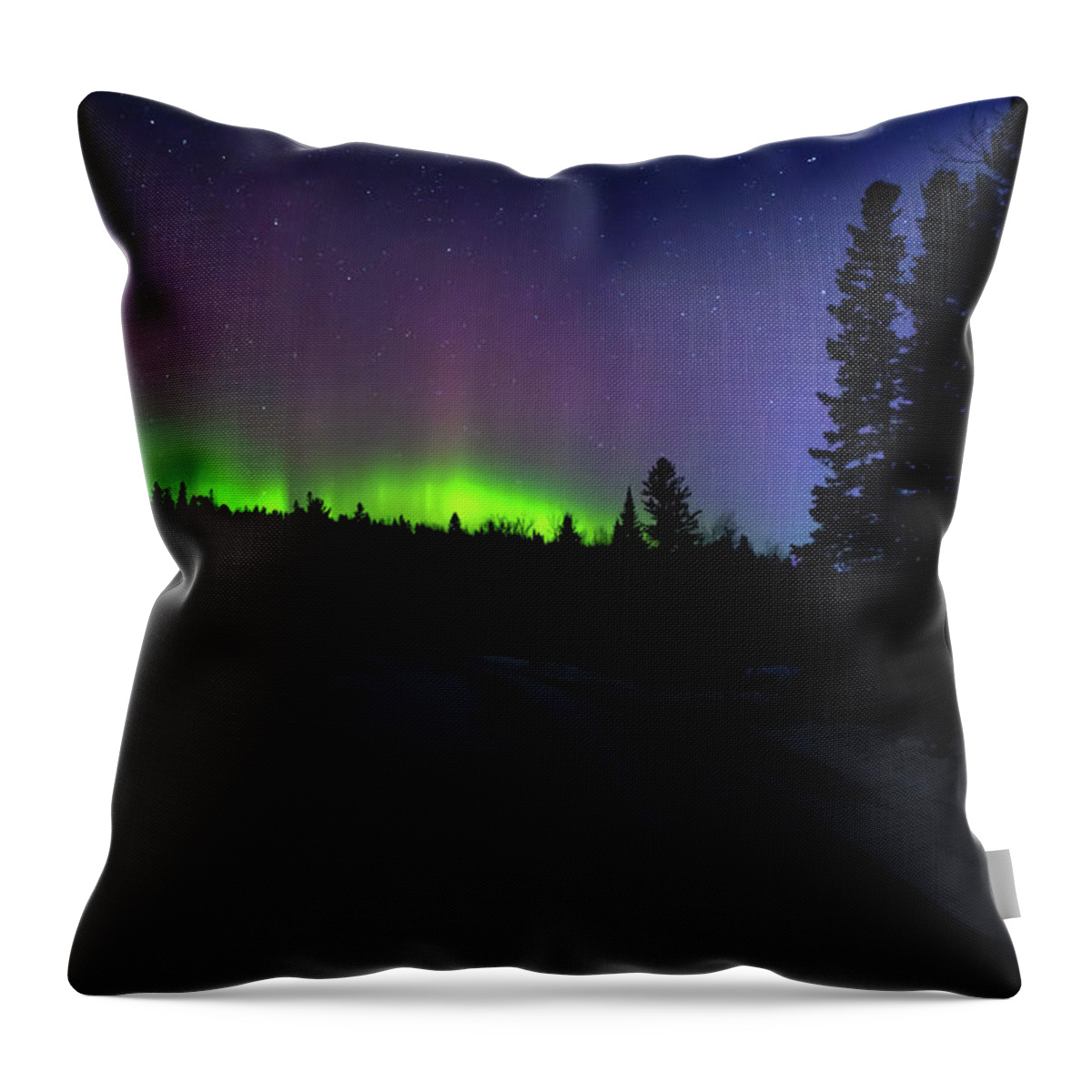 Northern Lights Throw Pillow featuring the photograph Night Dancer by Susan Rissi Tregoning