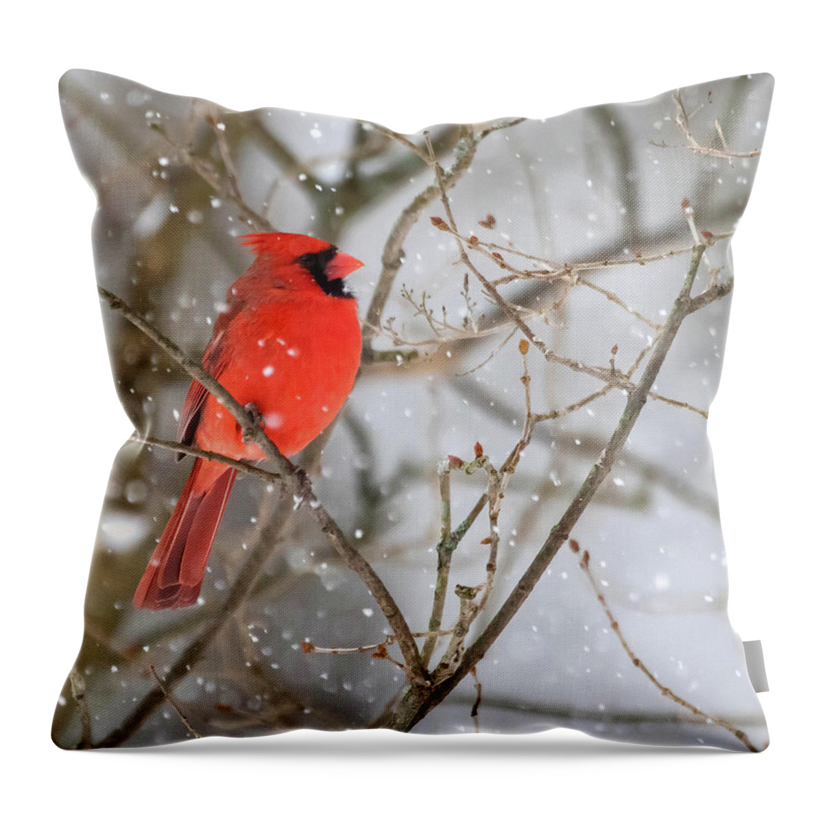 Cardinal Throw Pillow featuring the photograph Northern Cardinal in Snow #1 by Mindy Musick King