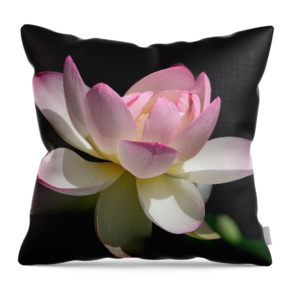 Lotus Throw Pillow featuring the photograph Not Your Average Waterlily by Linda Bonaccorsi
