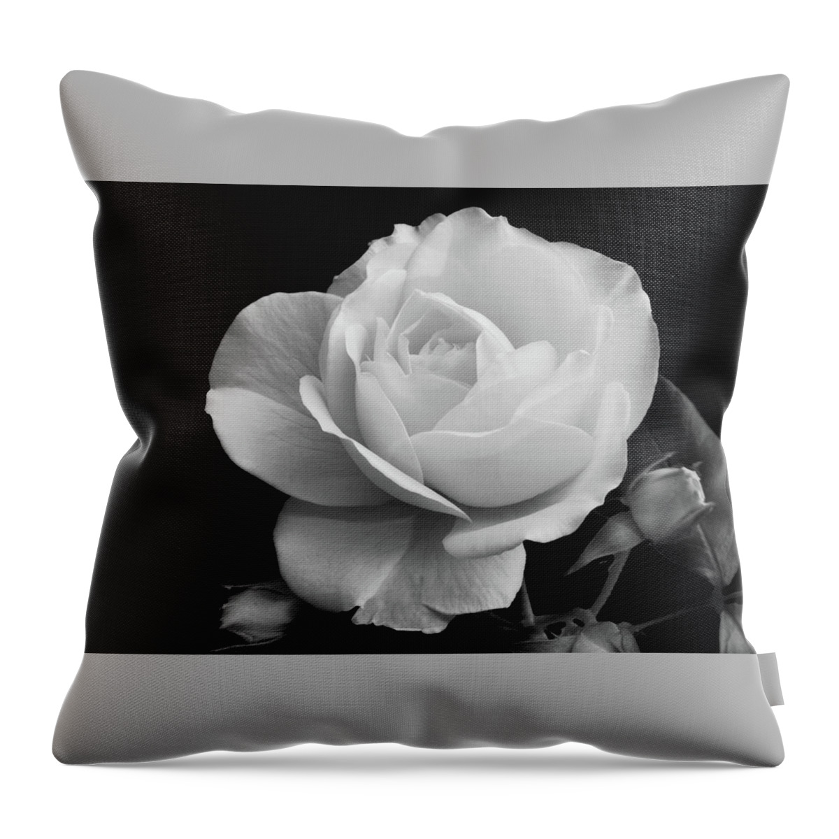 Rose Throw Pillow featuring the photograph October Rose by Terence Davis