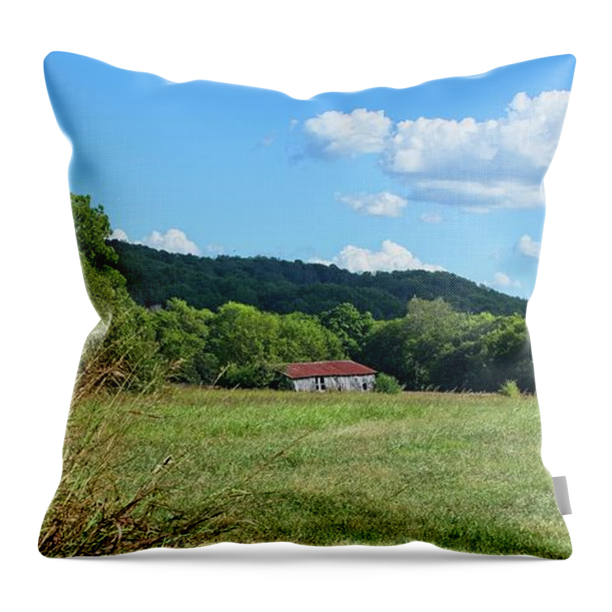 Landscape Throw Pillow featuring the photograph Old Barn 2 by John Benedict