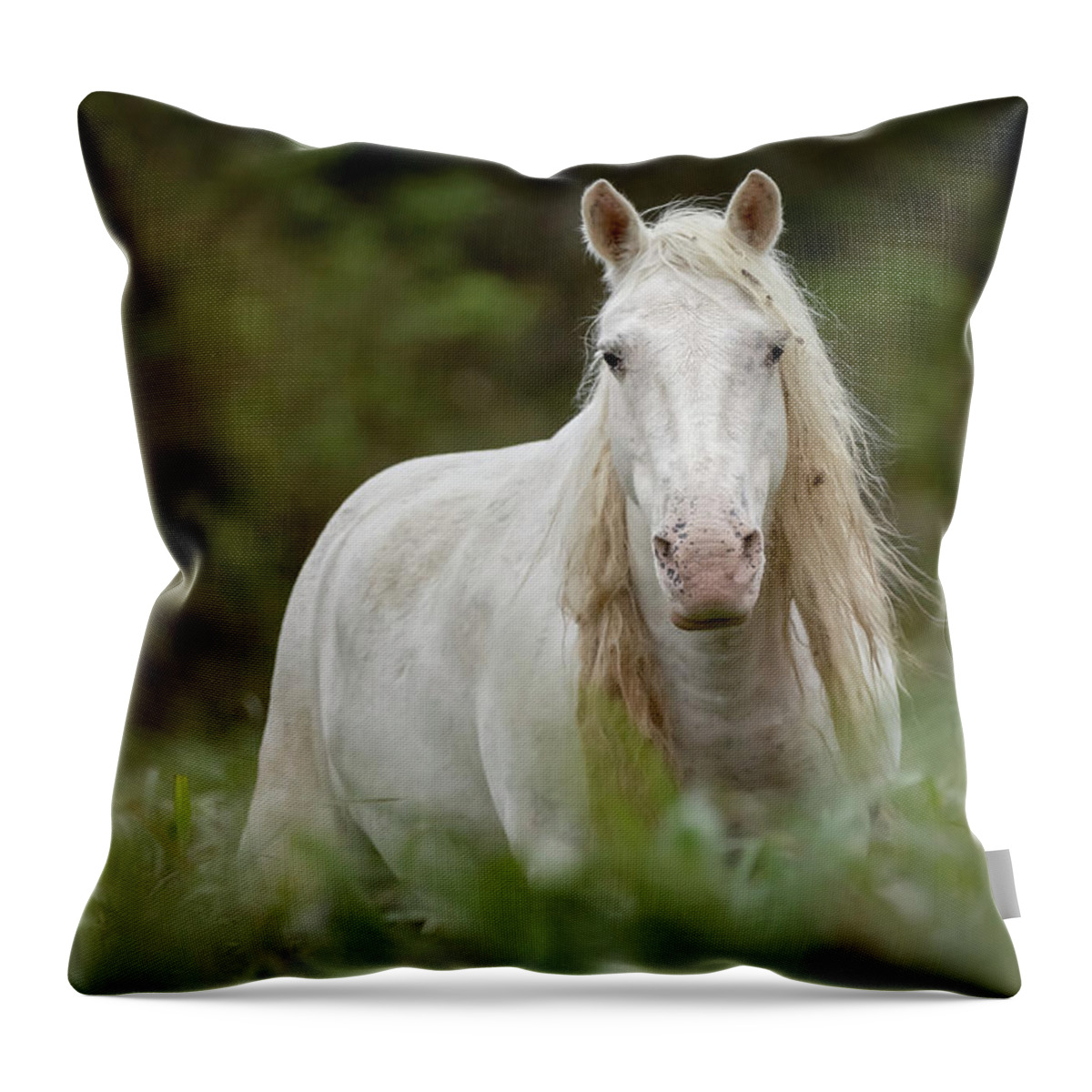 Wild Horse Throw Pillow featuring the photograph Ombre by Holly Ross