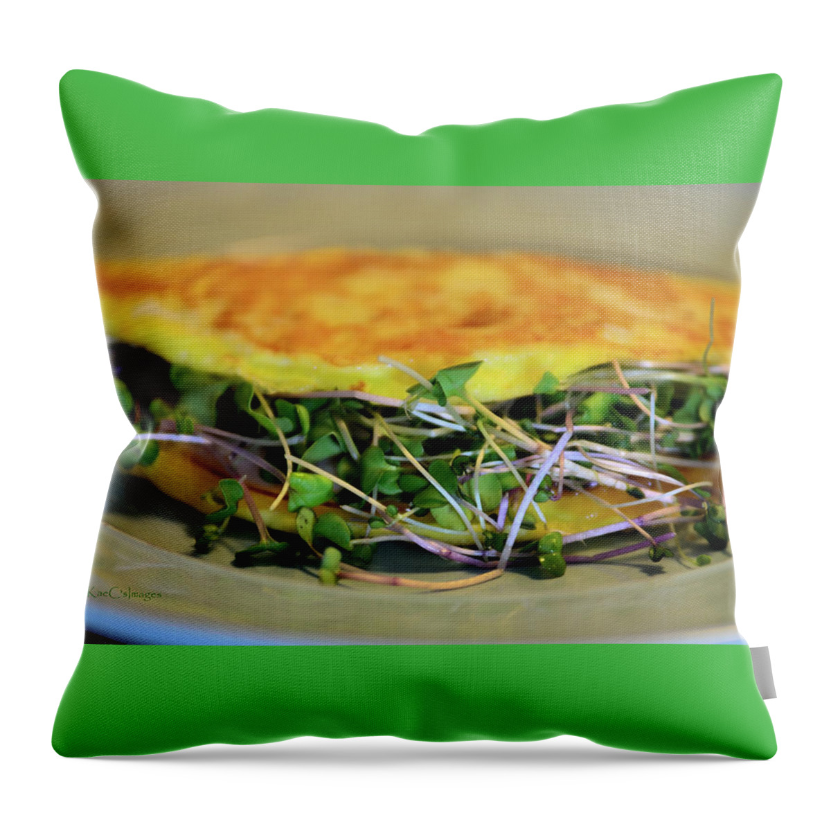 Food Throw Pillow featuring the photograph Omelette With Sprouts by Kae Cheatham