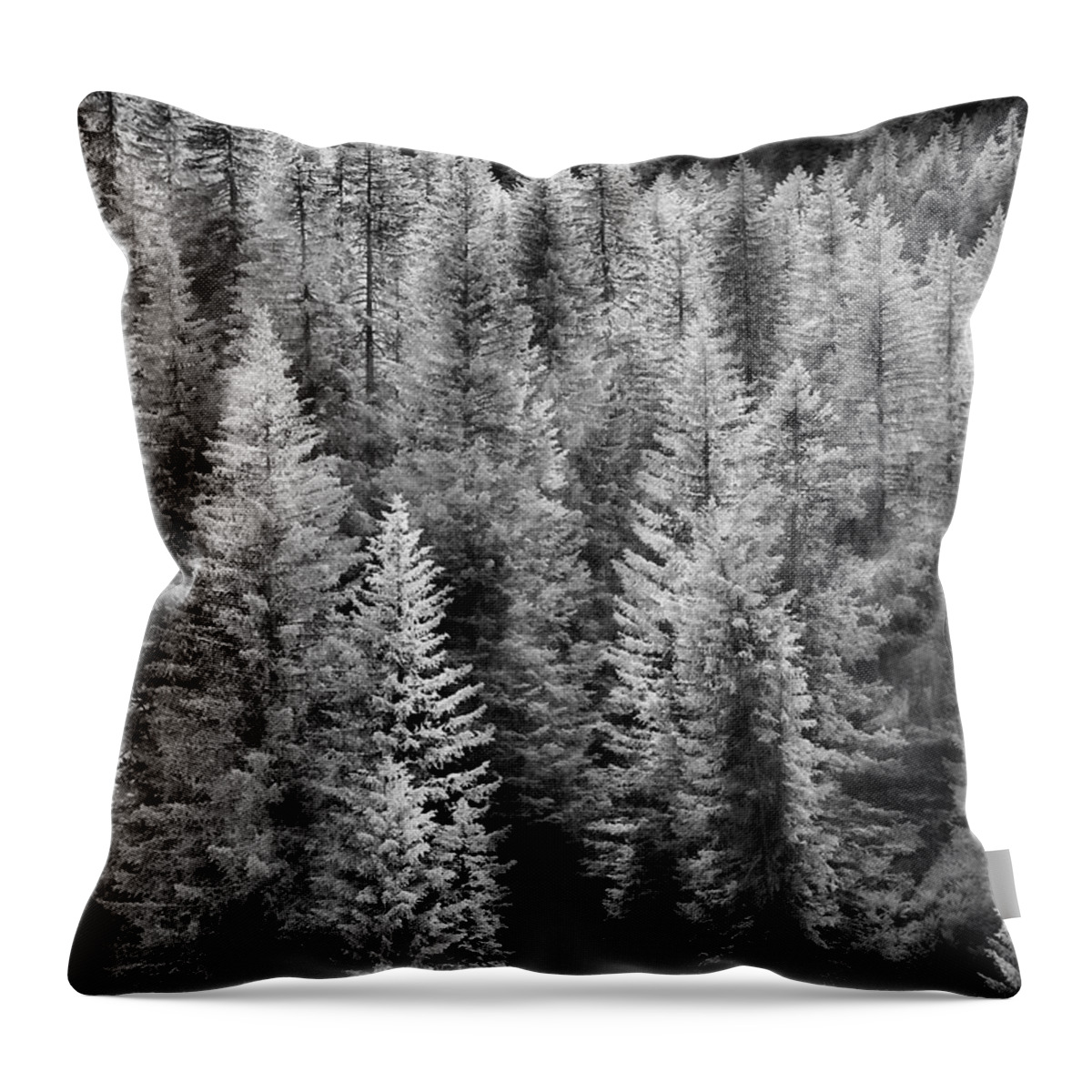Black And White Throw Pillow featuring the photograph One Of Many Alp Trees by Jon Glaser