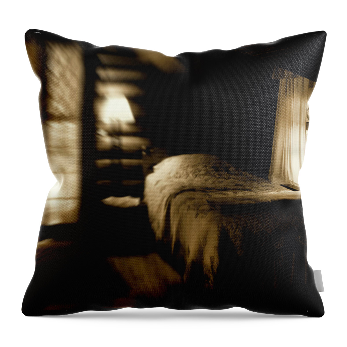 Log Cabin Throw Pillow featuring the photograph Open Spaces For Dreaming by Cynthia Dickinson