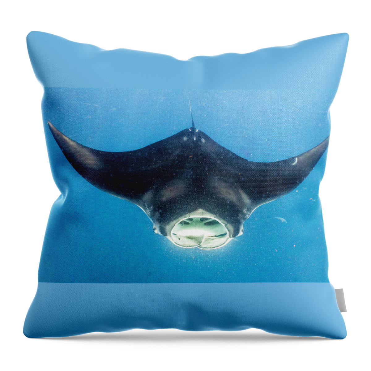 Ocean Throw Pillow featuring the photograph Open Wide by Lynne Browne