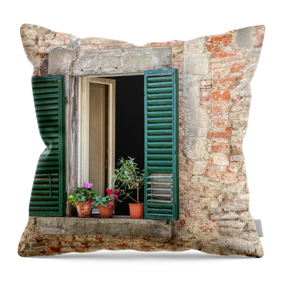 Window Throw Pillow featuring the photograph Open Window of Cortona by David Letts