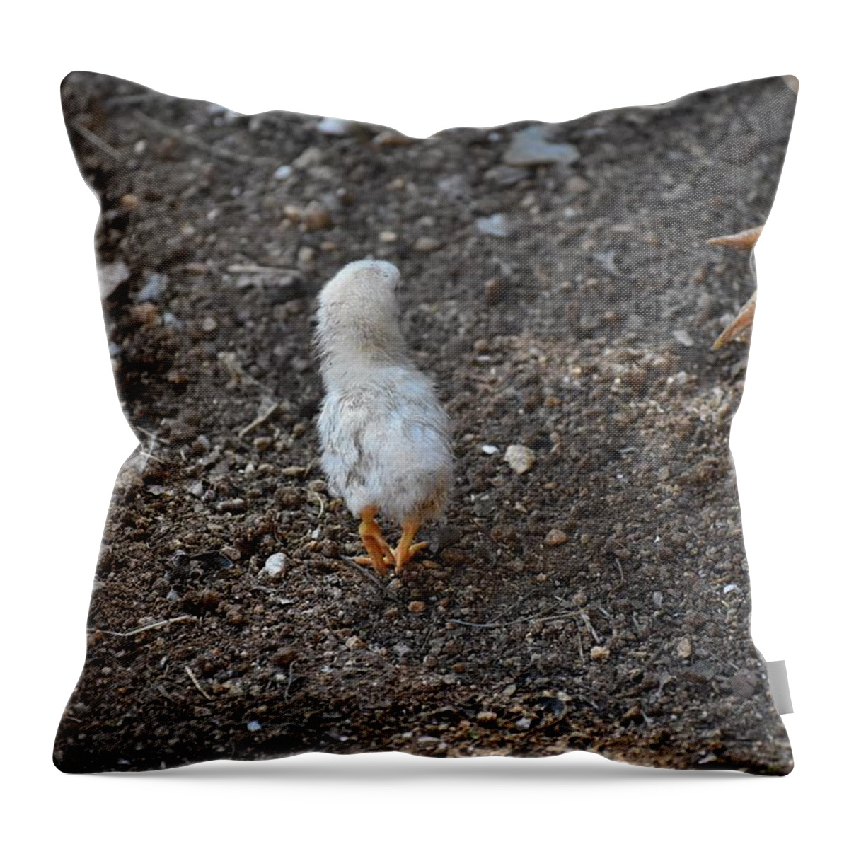 Baby Chick Throw Pillow featuring the digital art Orange Feet by Cassidy Marshall