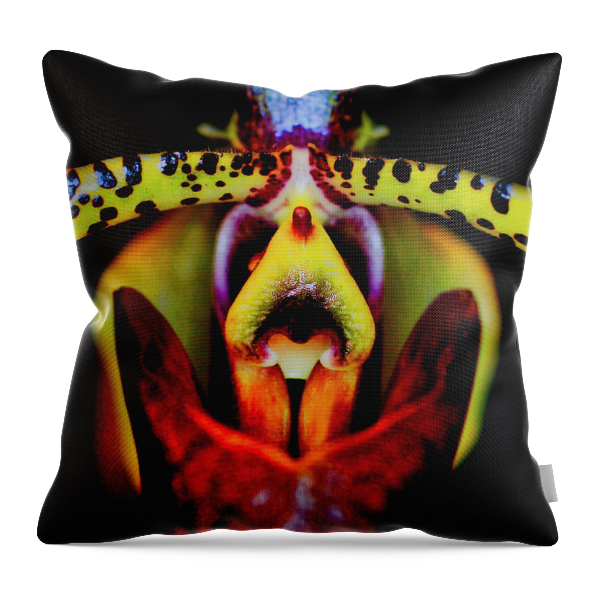 Orchid Throw Pillow featuring the photograph Orchid Study Six by Meta Gatschenberger