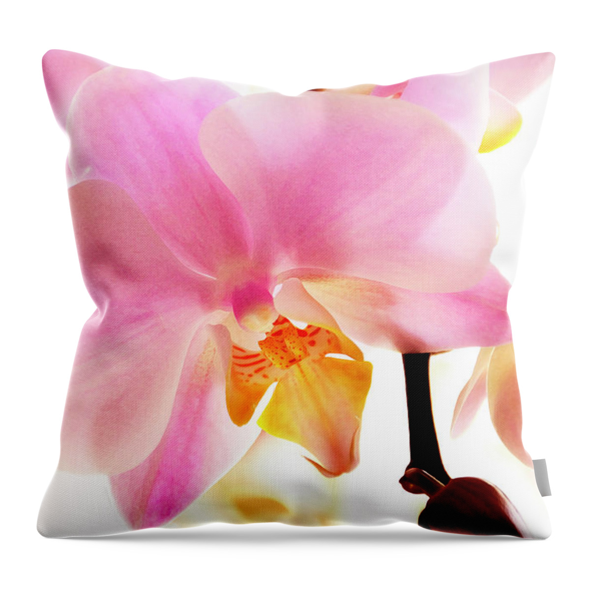 Phalaenopsis Throw Pillow featuring the photograph Orchids in Watercolor by Angie Tirado