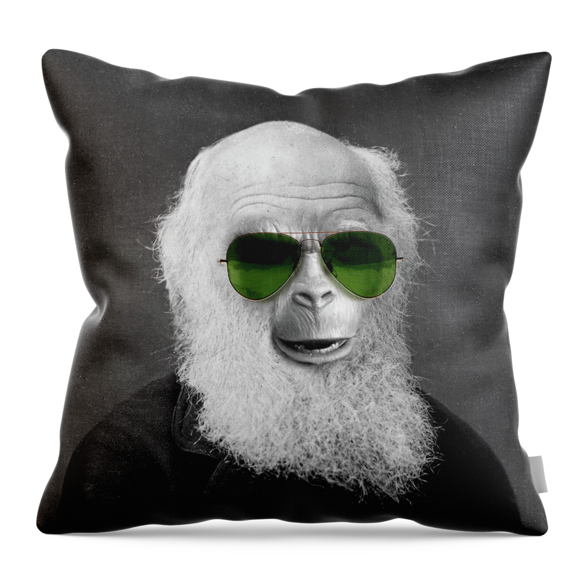 Charles Throw Pillow featuring the painting Origins by Big Fat Arts