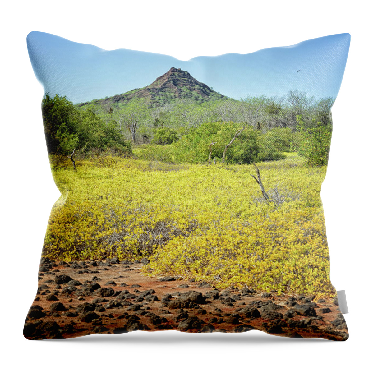 Mountain Throw Pillow featuring the photograph Other World by Becqi Sherman