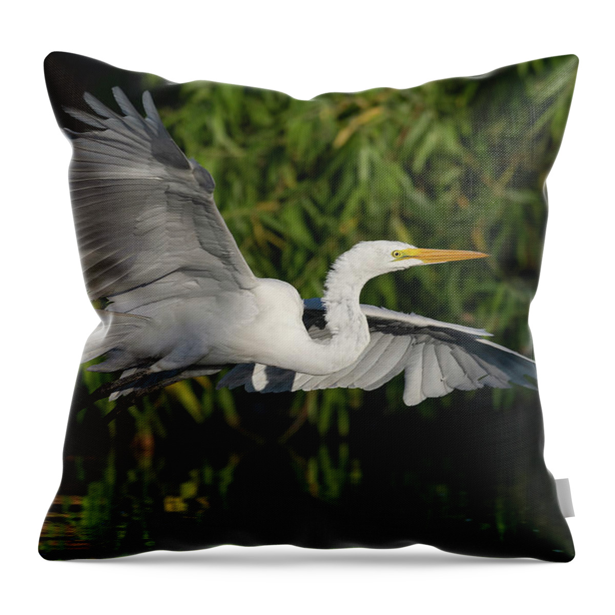 Great Egret Throw Pillow featuring the photograph Out of The Shadows. by Paul Martin