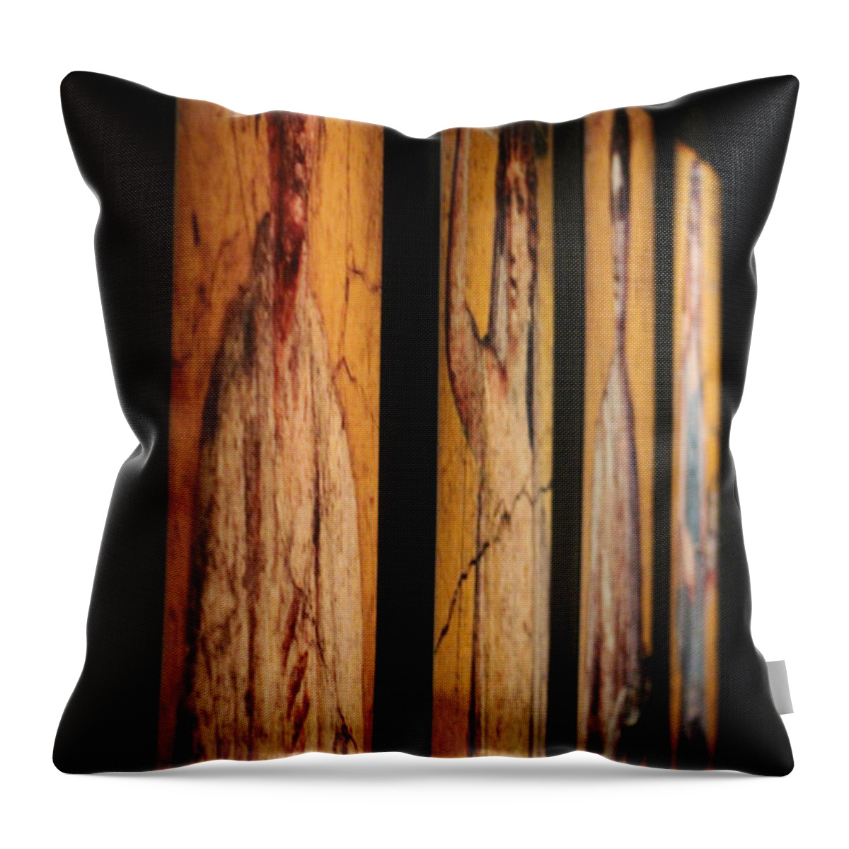 Gold Throw Pillow featuring the photograph Panels of Art at Pompeii Exhibit Reagan Library by Colleen Cornelius