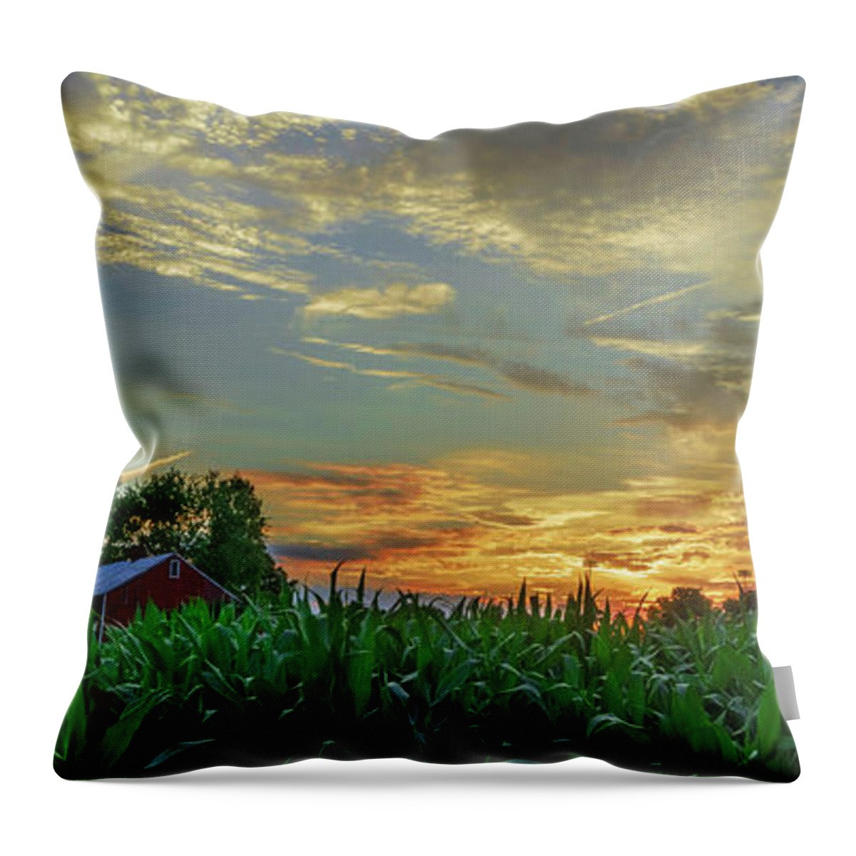 Sunset Throw Pillow featuring the photograph Panoramic Cornfield Sunset by Jason Fink