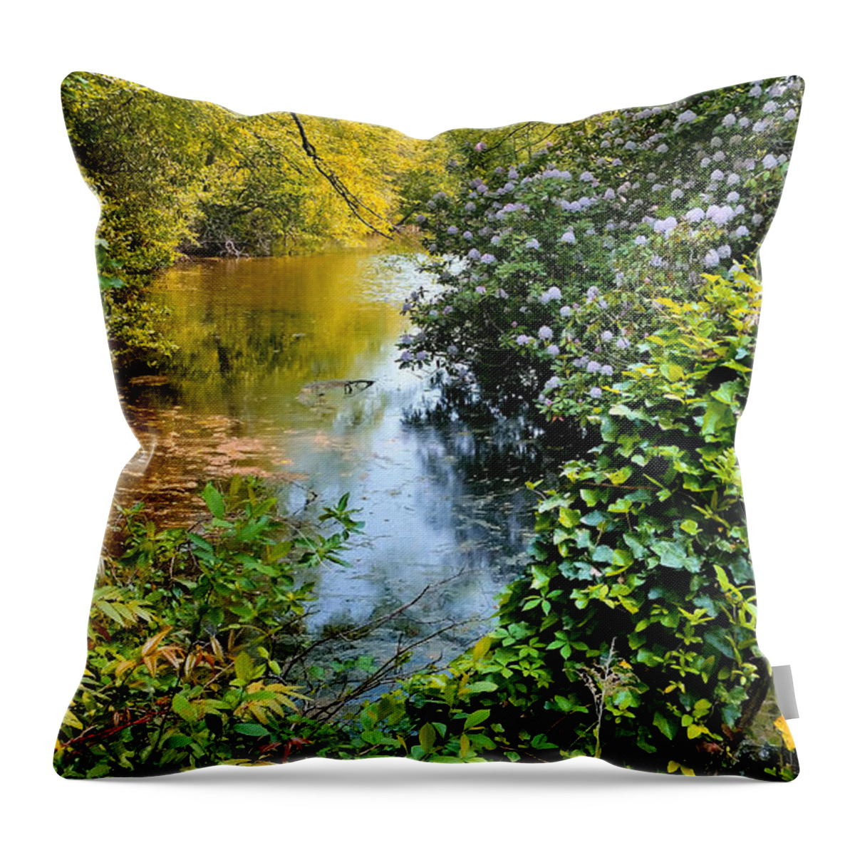 Rhododendrons Throw Pillow featuring the photograph Park River Rhododendrons by Stacie Siemsen