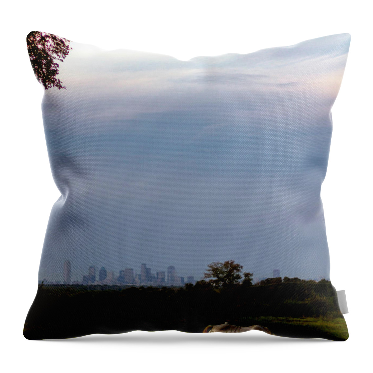 Pasture Throw Pillow featuring the photograph Pasture by Peter Hull