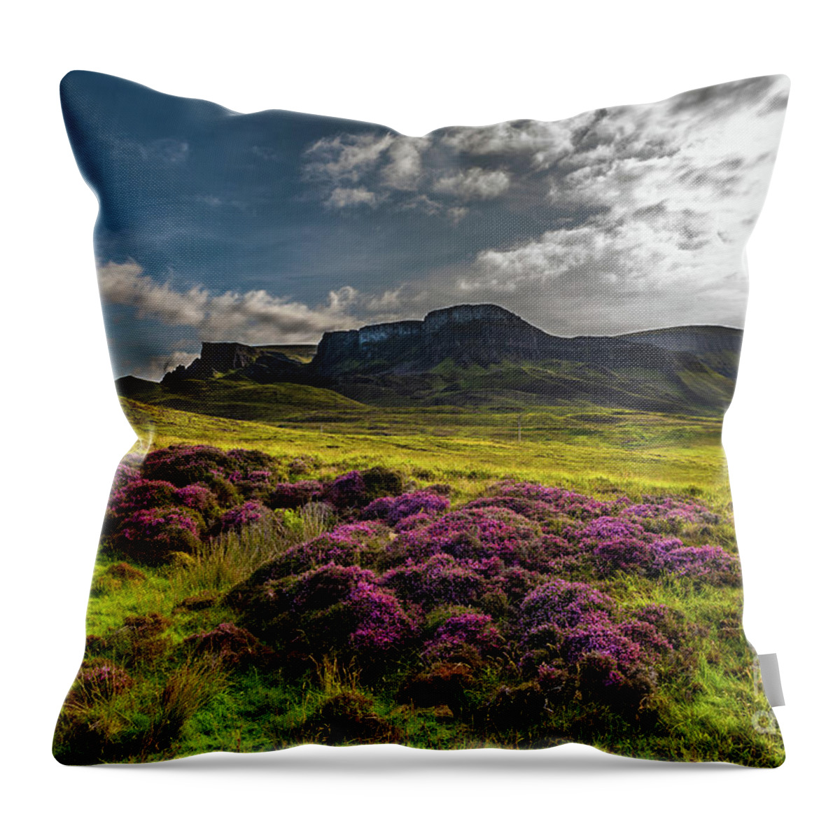 Abandoned Throw Pillow featuring the photograph Pasture With Blooming Heather In Scenic Mountain Landscape At The Old Man Of Storr Formation On The by Andreas Berthold