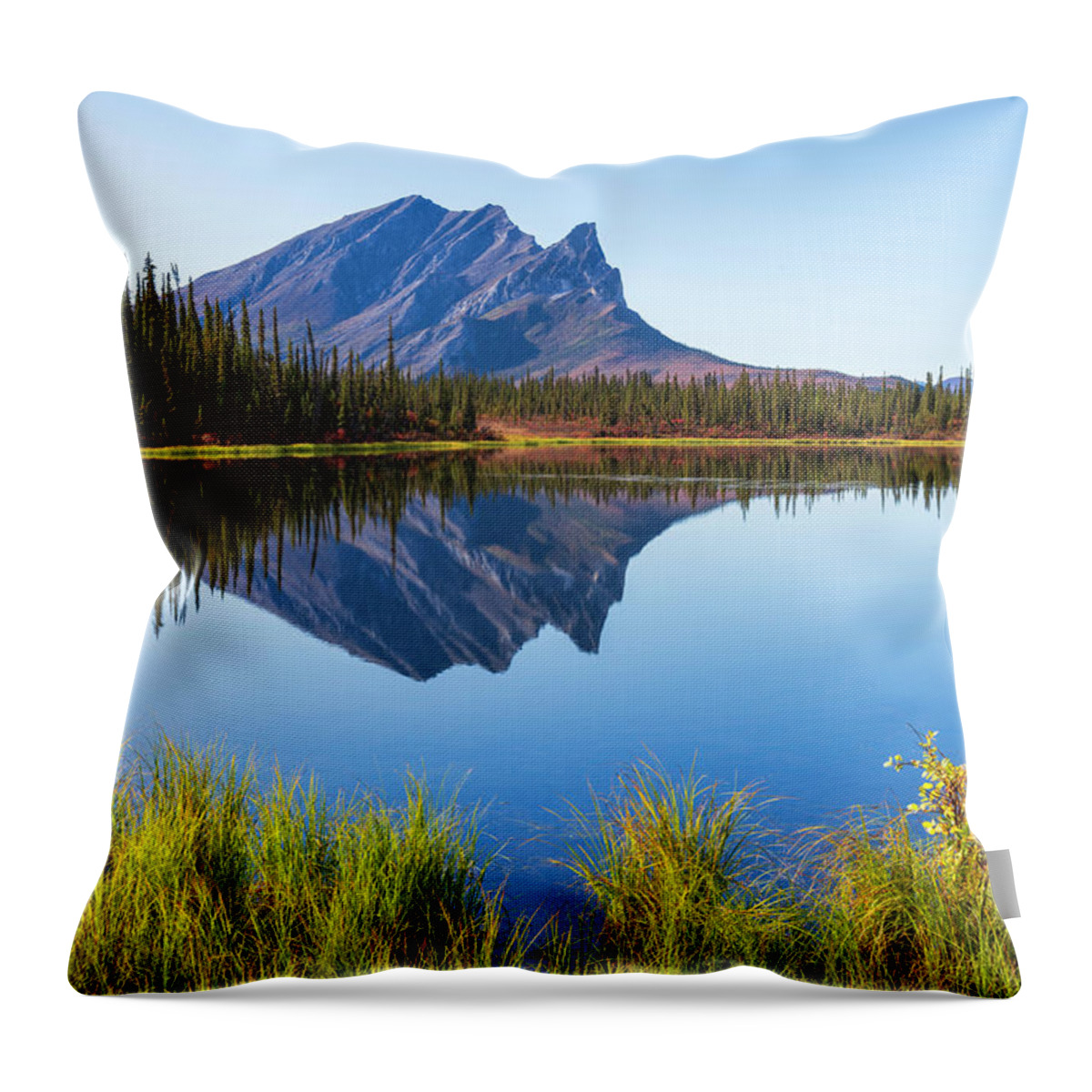 Peaceful Throw Pillow featuring the photograph Peaceful Morning by Chad Dutson