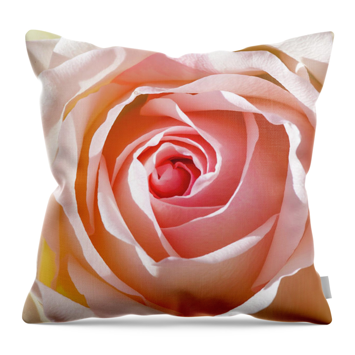Pink Rose Throw Pillow featuring the photograph Soft As A Rose by Az Jackson