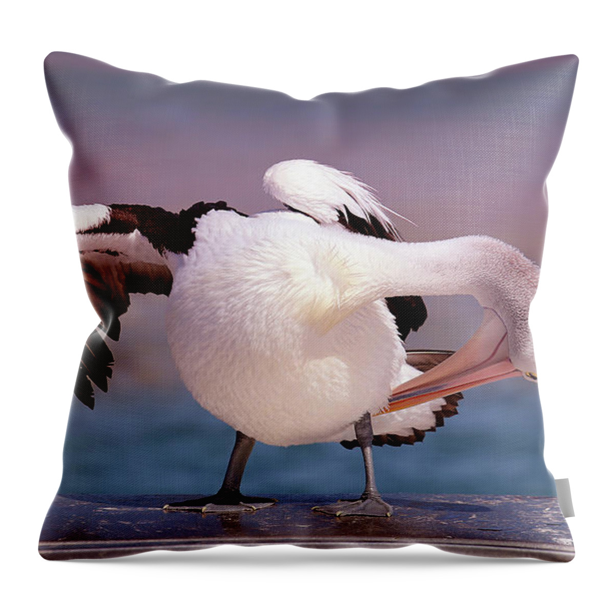 Pelicans Throw Pillow featuring the digital art Pelican show off 05 by Kevin Chippindall
