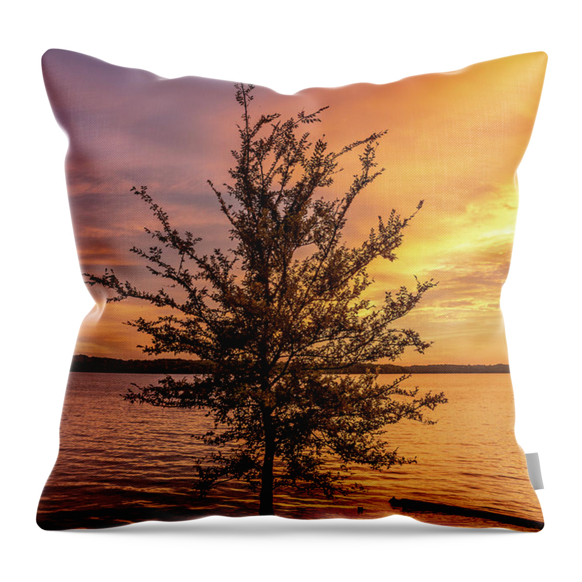 Percy Priest Lake Throw Pillow featuring the photograph Percy Priest Lake Sunset Young Tree by D K Wall
