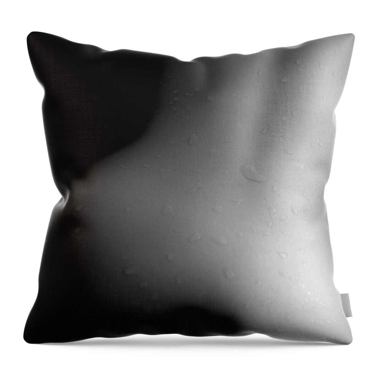 People Throw Pillow featuring the photograph Photography Of A Naked Womans Wet Back by Daj