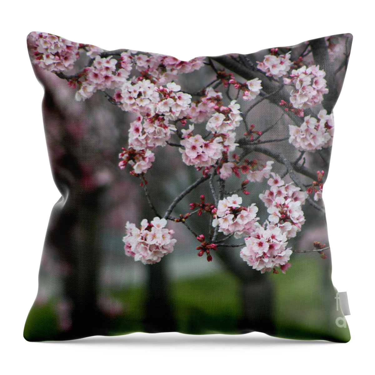 Misty Throw Pillow featuring the photograph Pink Blossoms in Foreground at Reagan Library 2 by Colleen Cornelius